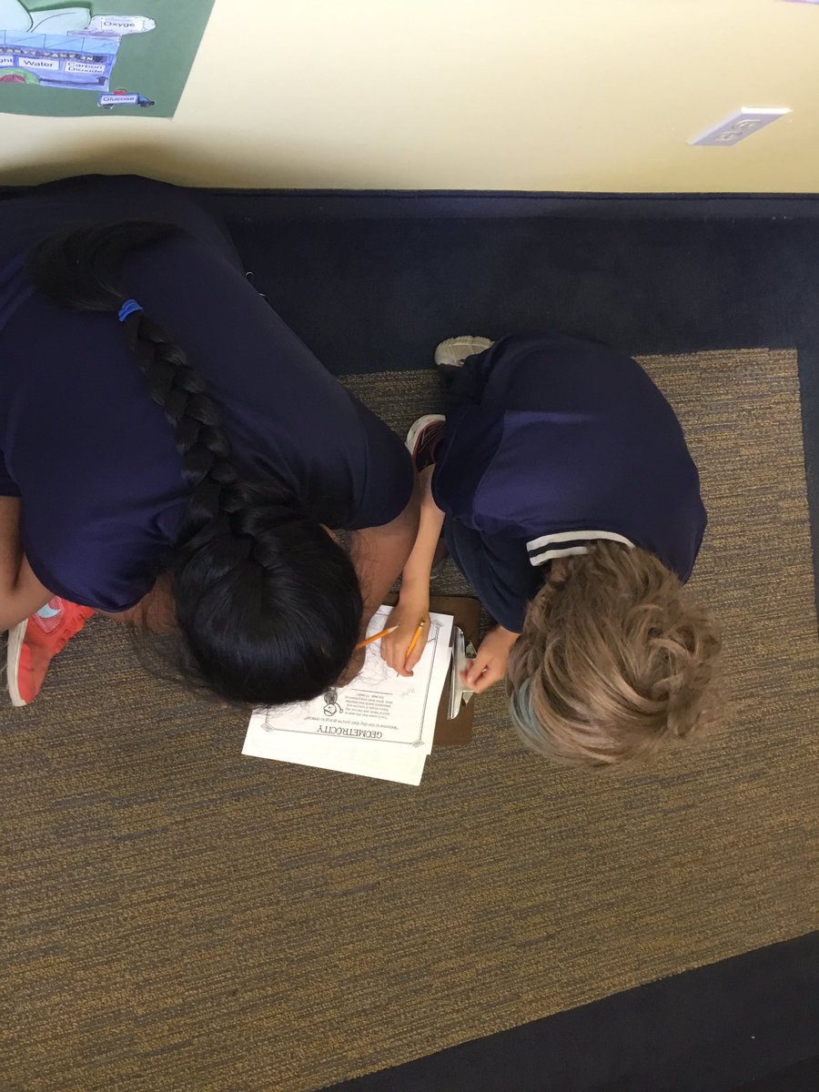 KellsMsSkinner's tweet photo. Phase 1 of our final math project with @MsSpecksClass. We are city planners responsible for designing our own city. #geometrocity #grade3/4 #math https://t.co/vjjpRn2em1