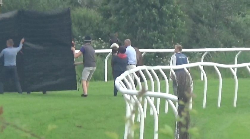 AnimalAid's tweet photo. On 4 June we shared images of the final moments of race horse Baihas. 10 years ago, we received similar photos of the attempts to destroy Ashby Jo with a gun, before giving him a lethal injection - also at Newton Abbot.  
Please sign and RT our petition. https://t.co/cdFIYoIGnJ https://t.co/yYegoS5rOA
