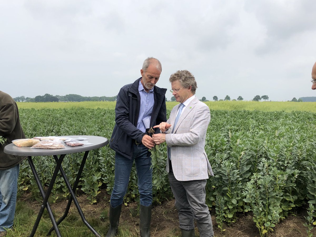 Vandaag boerenveldmiddag #veldbonen ketenproject met @agruniekrijnvallei @MichielScheffer @VegafitNL <a href="/GreenProteinAll/">GreenProteinAlliance</a> over #eiwittransitie #innovatie #plantaardigeiwit