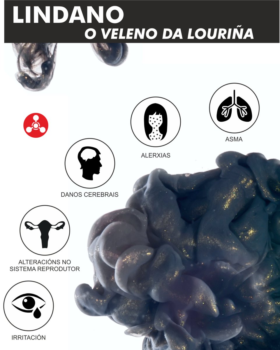 AntiLindano's tweet photo. Xa está nas rúas o noso boletín sobre o lindano: "O veleno da Louriña". Aquí o tedes en dixital por se aínda non chegou a vosa casa.
https://t.co/OAPGYNpDno https://t.co/bRqjFkl2Iv
