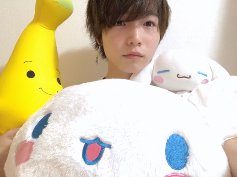 laters_hayashin's tweet photo. シナモン抱いて寝てるって言いたかったけど実際抱き枕にしてるのは左のバナナなんだよな〜🤧 https://t.co/2B2ati5si1
