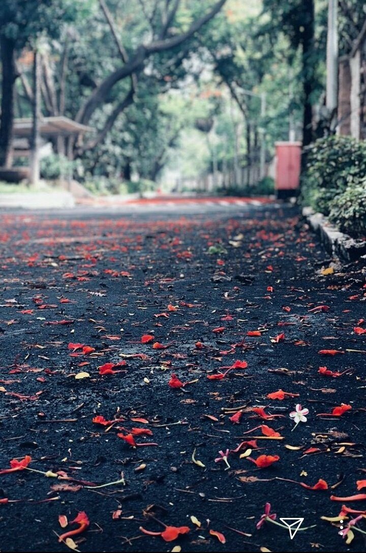 Jenwinget__fc's tweet photo. Such beautiful clicks 😘

The second one has my heart 😘 @jenwinget https://t.co/Dz80fcevdq
