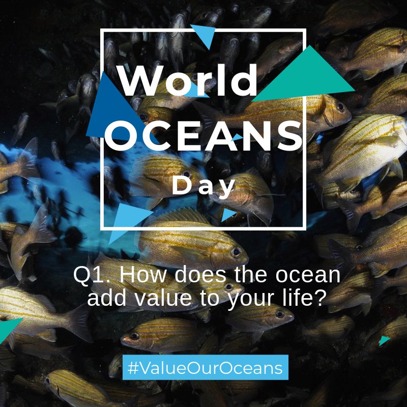 WWFSASSI's tweet photo. Q1. How does the Ocean add value to your life? #ValueOurOceans 

@2OceansAquarium @JoburgParksZoo @WWFSouthAfrica https://t.co/Ad1ciXTywZ