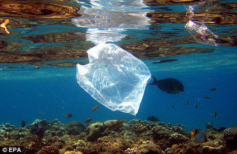 leflyer1's tweet photo. Plse RT: #usemeagainplastic. It is all about mindset to protect our #planet while shopping. Think of taking your own plastic bags to the store. #PlanetOrPlastic #earth #plasticfree https://t.co/hDxMcc5bAk