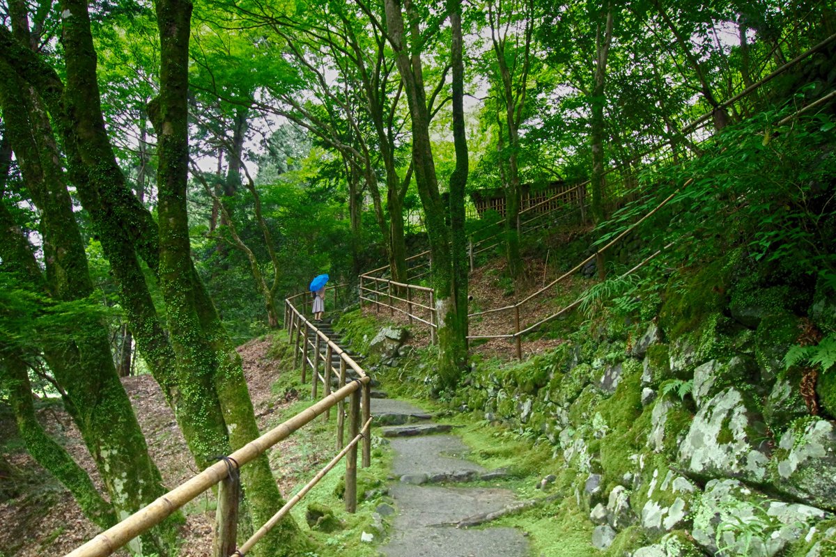 Sharing Kyoto Kosan Ji Temple In Takao Kyoto So Verdant This Called For A Cup Of Matcha