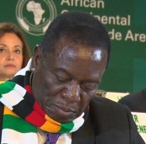 TinasheMapuran2's tweet image. Retweeted mmatigari (@m_matigary):

52 Days to go On your left Man's not hot VS Man's got sauce. Rt for Nelson Chamisa ,Like Ed Mnangagwa. #ElectionsZW #ZimbabweDecides2018