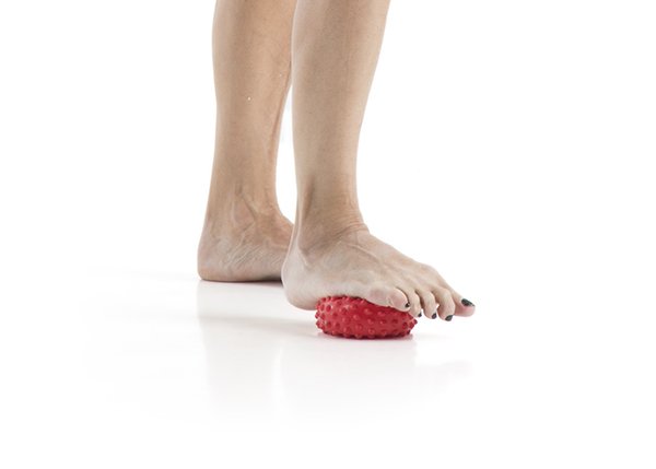 LA_PALESTRA_NET's tweet image. In questo super articolo Ester Albini spiega alcune funzioni del tessuto fasciale; e grazie ad esse possiamo comprendere l’importanza che può avere sul nostro allenamento e gli effetti sul corpo. lapalestra.net/il-tessuto-fas… #fascia #tessutofasciale #functional