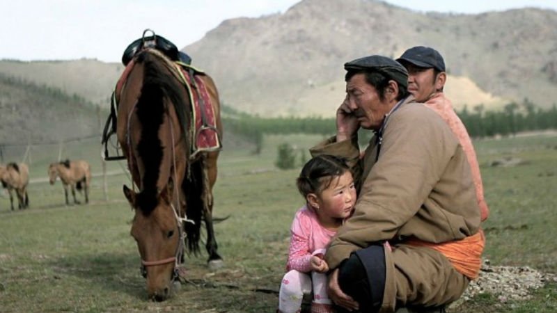 DMovies_org's tweet photo. Devils on horseback! Doc follows competitors and organisers from round the globe on the Mongol Derby, arguably the hardest horse race in the world 
ALL THE WILD HORSES is in cinemas tonight! 
https://t.co/xii7Ot3lox https://t.co/5GZRjJ0bMz