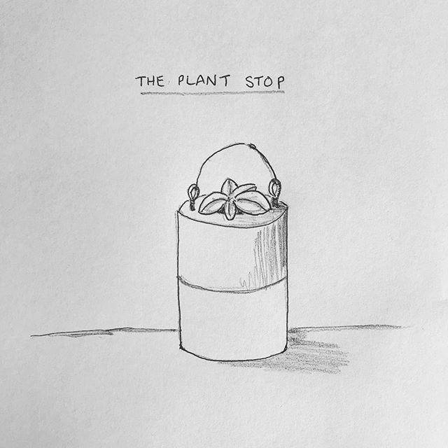 This weekend’s side project is an essential addition to the new office - “The Plant Stop”. Door stop and plant pot in one. 😁🌿 #craft #productdesign #interiordesign #ideas#l #concrete #agency #officedecor #owlandgiraffe