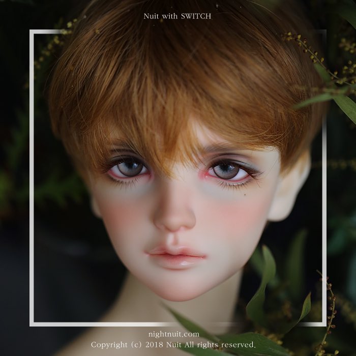 じることが SWITCH DOLL / AJEONG Closer ver. BJDドール 8ahxt