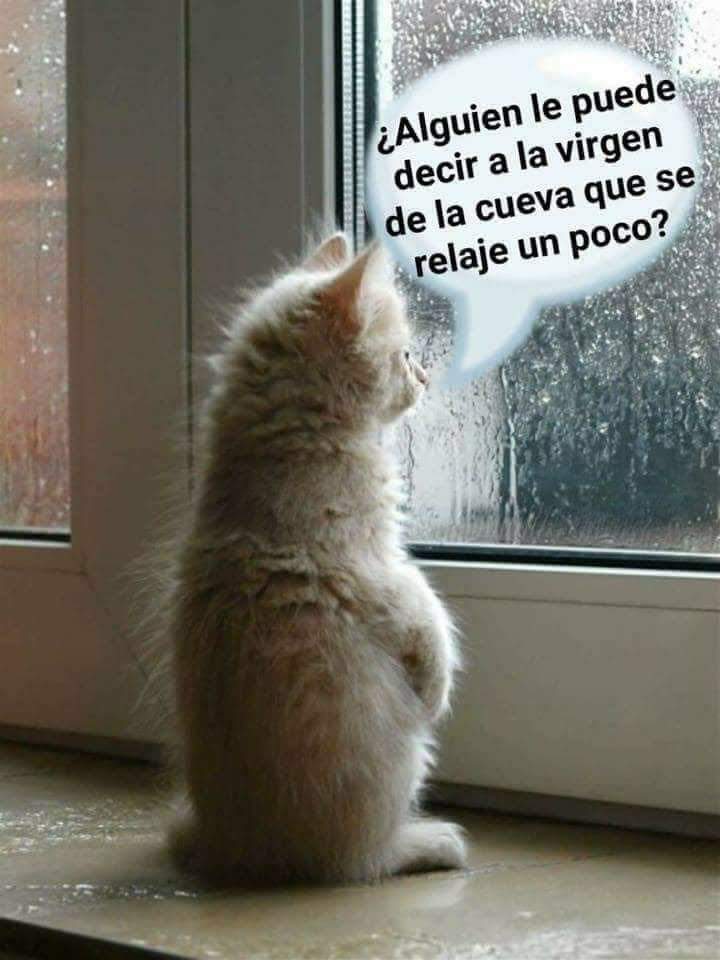 opticasanjose's tweet photo. Viernes gris y lluvioso en #leonesp!! Pero ni la lluvia nos va a quitar la agradable sensación de tener aquí ya el fin de semana!! Os esperamos en Burgo Nuevo 4. 😃 https://t.co/zKvrBS5m59