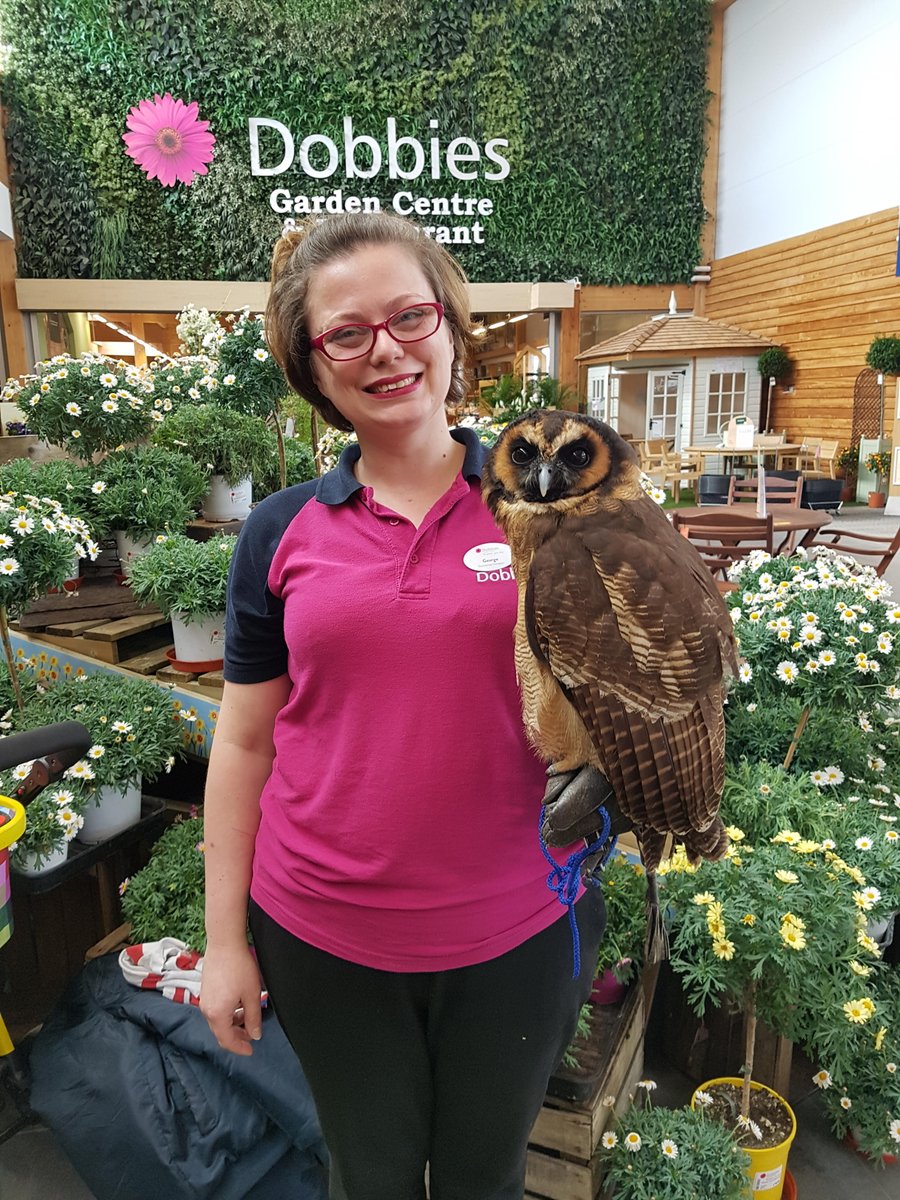 dobbies's tweet photo. We're feeling very proud of Georgina from our King's Lynn store who's been named @CultivationSt #ambassador of the month. Well done! Read all about Georgina's hard work here and her passion for her local community: https://t.co/unr9jEn3wO #community #education https://t.co/5OjfH3VOkA