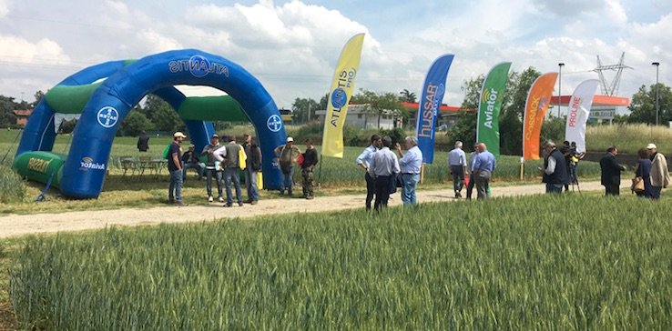agricoltore sito di incontri ad