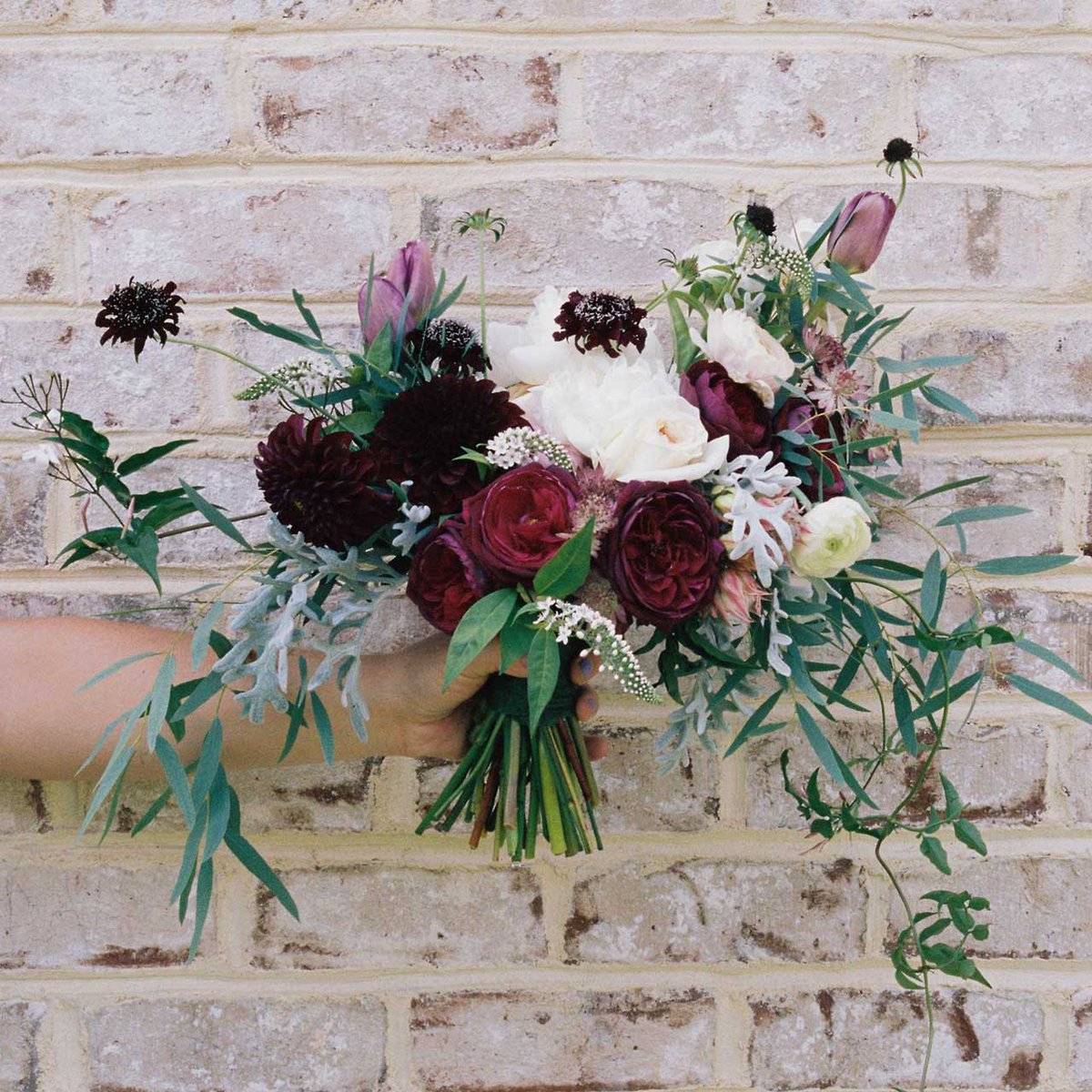Op zoek naar een origineel (verjaardags)cadeau? Met een bloemabonnement kan je de persoon in kwestie meerdere keren verrassen. Dit abonnement is ook voor korte periodes af te sluiten. De bloemen worden gratis bezorgd in Son, op Ekkersrijt en Esp.