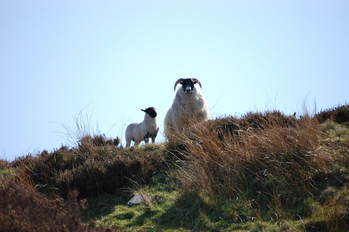 Campaign for National Parks tweet media