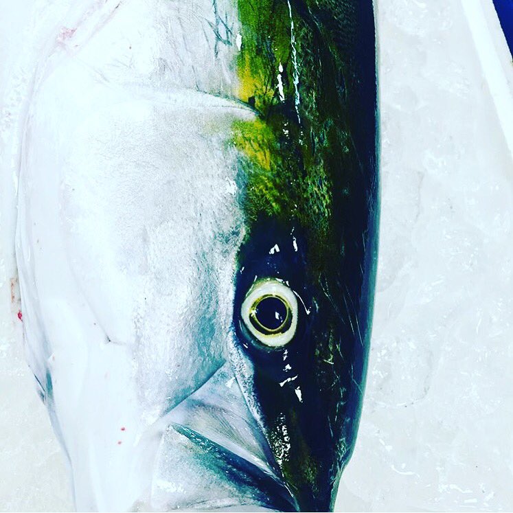 ChefLeSquer's tweet photo. Aujourd’hui journée mondiale de l’océan...les créatures marines sont fascinantes et méritent d’être protégées,comme ce magnifique “Poisson “.
Évitez les sacs en plastique pour préserver la propriété et la sûreté des océans! @Surfrider @FoodandSens @ChefLeSquer @TheWorlds50Best https://t.co/5y3g6t852S
