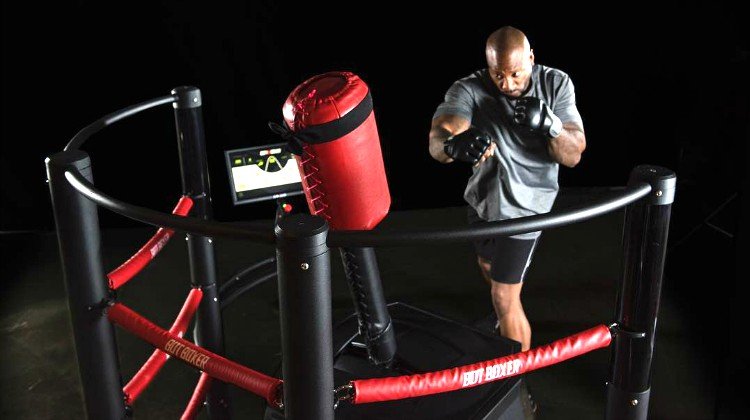 interactive boxing bag