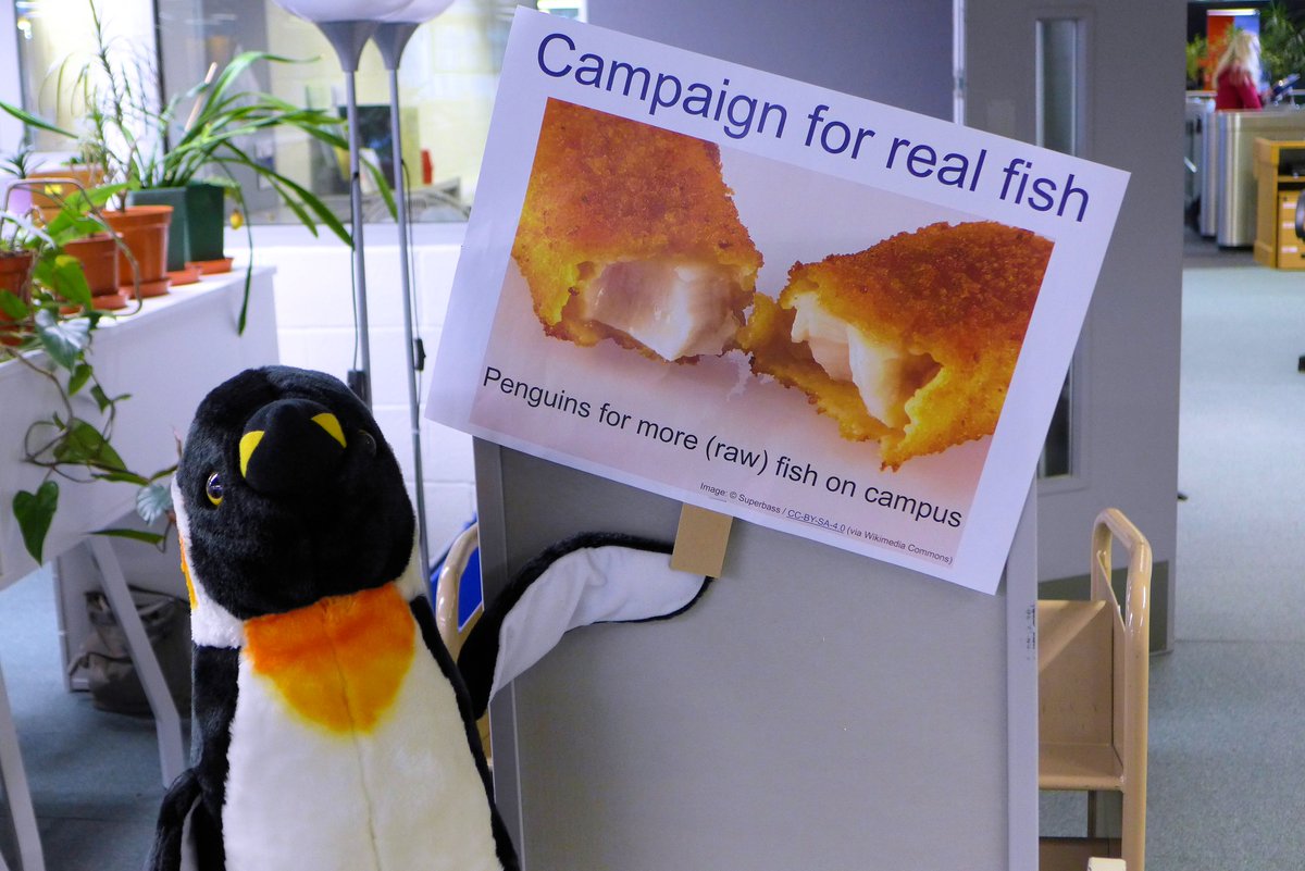 uoppenguin's tweet photo. Campaigning for more (raw) fish on campus since 2015 and still no open air sardine aquarium in the Library, let alone a luxury version with a diving board. Still, at least #StudentLedChange is a thing. Tell us what you love and never give up on your dreams! https://t.co/fqli8bUJwc