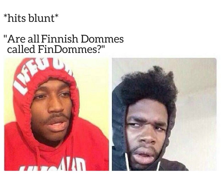FindomDiscord's tweet photo. 🇫🇮+Domme = ???

#Findom https://t.co/edkBMC87ti