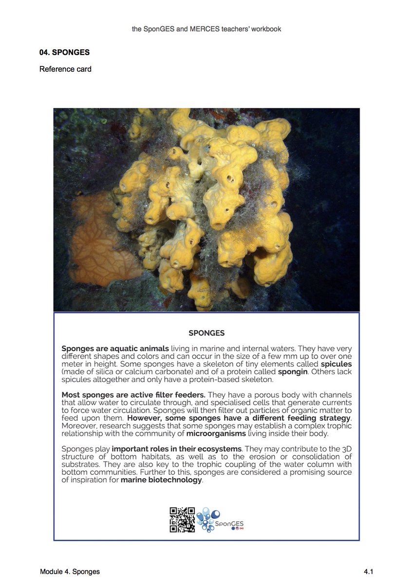 Deep Sea Sponges On Twitter Each Module Of The Teachers
