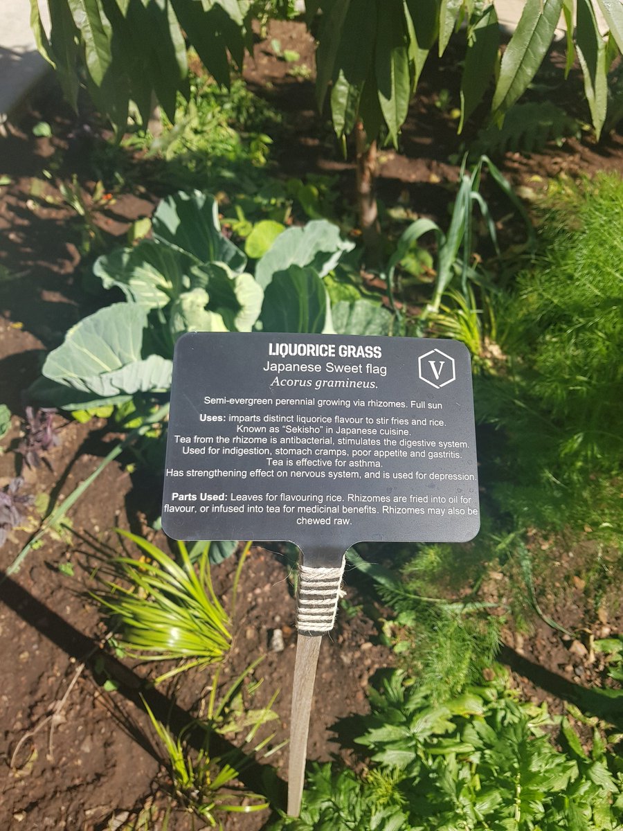CityofJoburgZA's tweet photo. You can find German Chamomile, Liquorise grass, Chocolate Mint, Agrimony, Ginger Bush and lots more planted along the side walks. #ExploreVictoriaYards ^PS https://t.co/RRC75LO39b