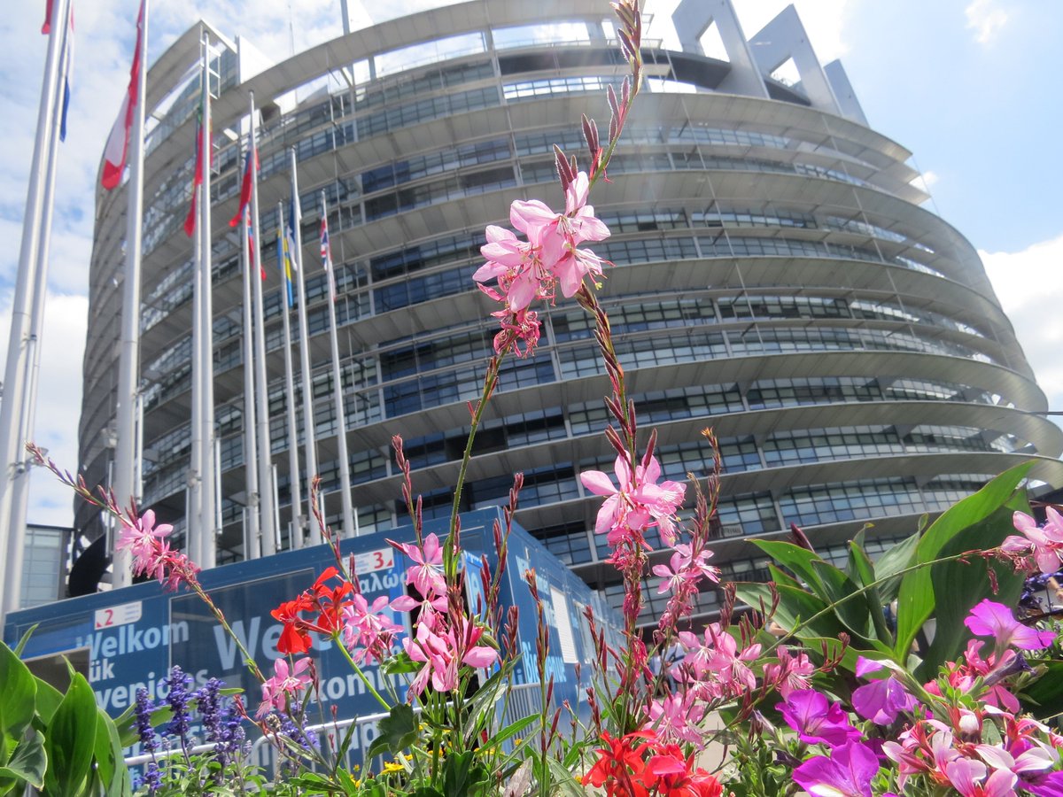 EPinIreland's tweet photo. Let's take a look back at the #EYE2018 ! Check out our Facebook album and see what we got up to last weekend in Strasbourg for the European Youth Event! #IrishEYE https://t.co/mV6M2QSWuK https://t.co/icRh4IkmmZ