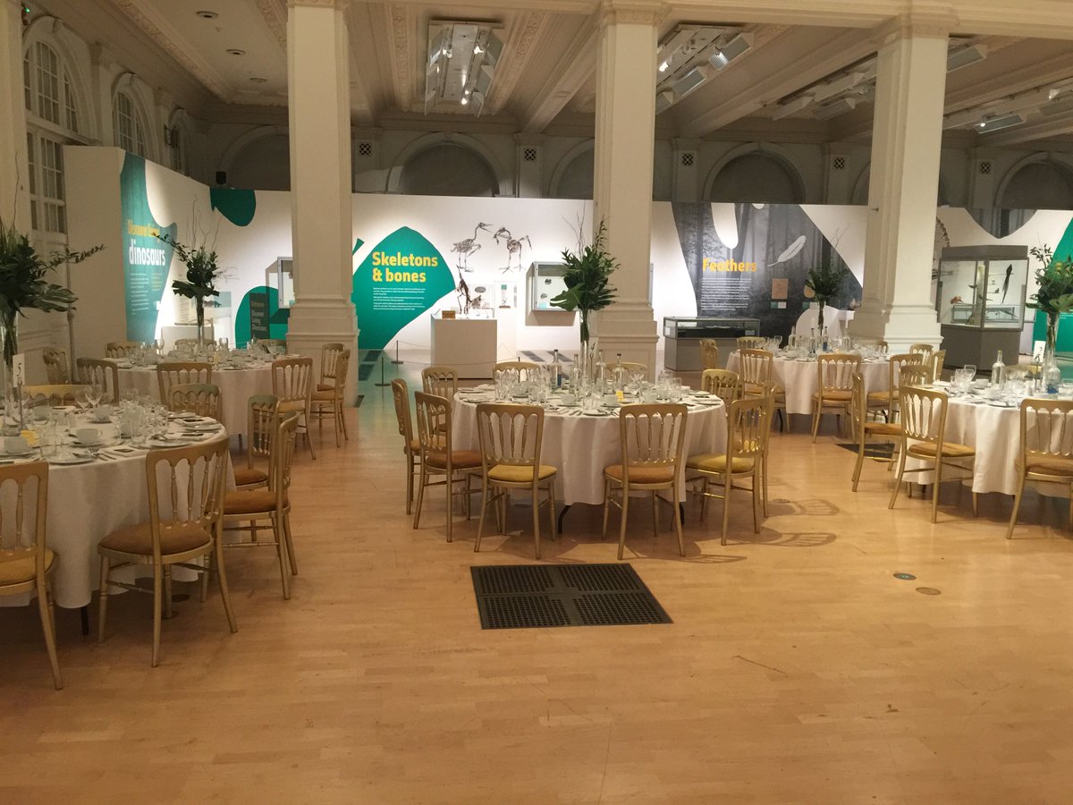BhamMuseumsHire's tweet photo. What a 'Roaring' success for last night's Dine with Dippy shared party night @BM_AG !! Here's a sneaky taster of last night before our lovely guests arrived!! #dinewithdippy #dippyontour #BirminghamUK π¦π¦πΎπΎπ₯π₯ https://t.co/Y1jvdAVti6