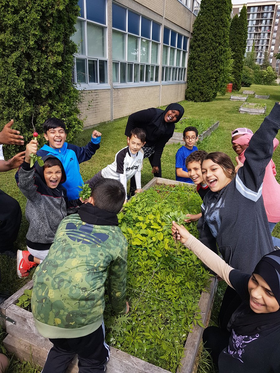 RelfLeigh's tweet photo. Our garden has grown! Look at those faces!!! #garden #growyourown #excitedkids @FeatherstonPS https://t.co/mL27vEskdU