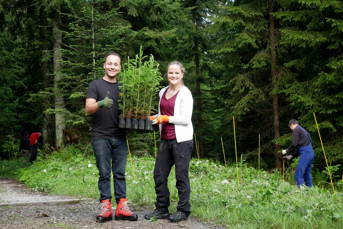 acdcled's tweet photo. @11Leahx @Danielphodgson now have their own tree in honour of their training support ❤️🌳🌲thank you @zumtobelgroup learning acc. https://t.co/ky7fY1iQzK