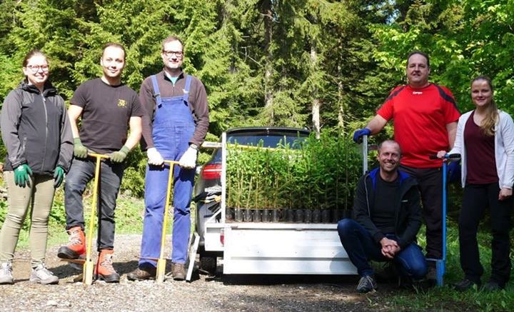 acdcled's tweet photo. @11Leahx @Danielphodgson now have their own tree in honour of their training support ❤️🌳🌲thank you @zumtobelgroup learning acc. https://t.co/ky7fY1iQzK