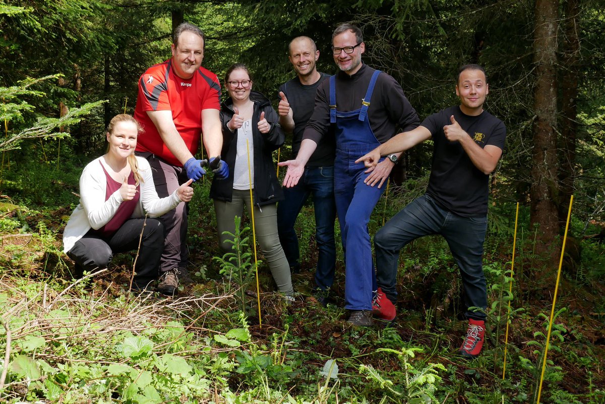acdcled's tweet photo. @11Leahx @Danielphodgson now have their own tree in honour of their training support ❤️🌳🌲thank you @zumtobelgroup learning acc. https://t.co/ky7fY1iQzK