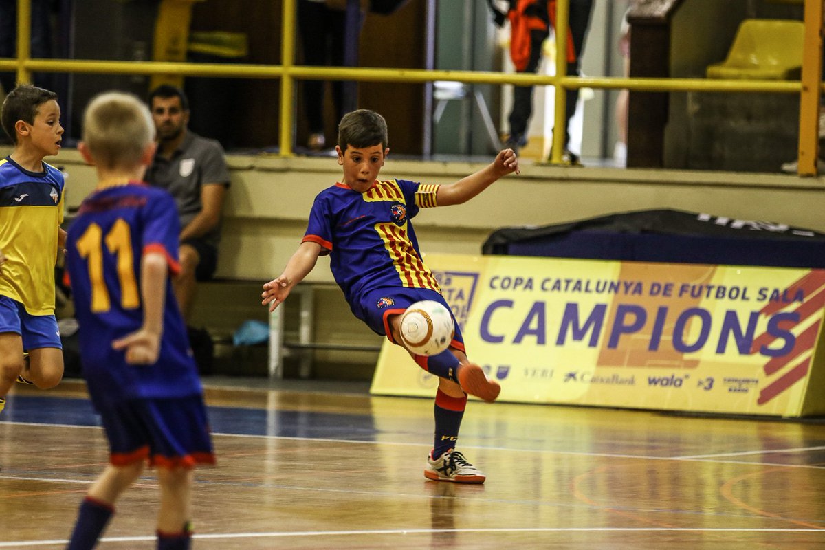 Federació Catalana de Futbol tweet media