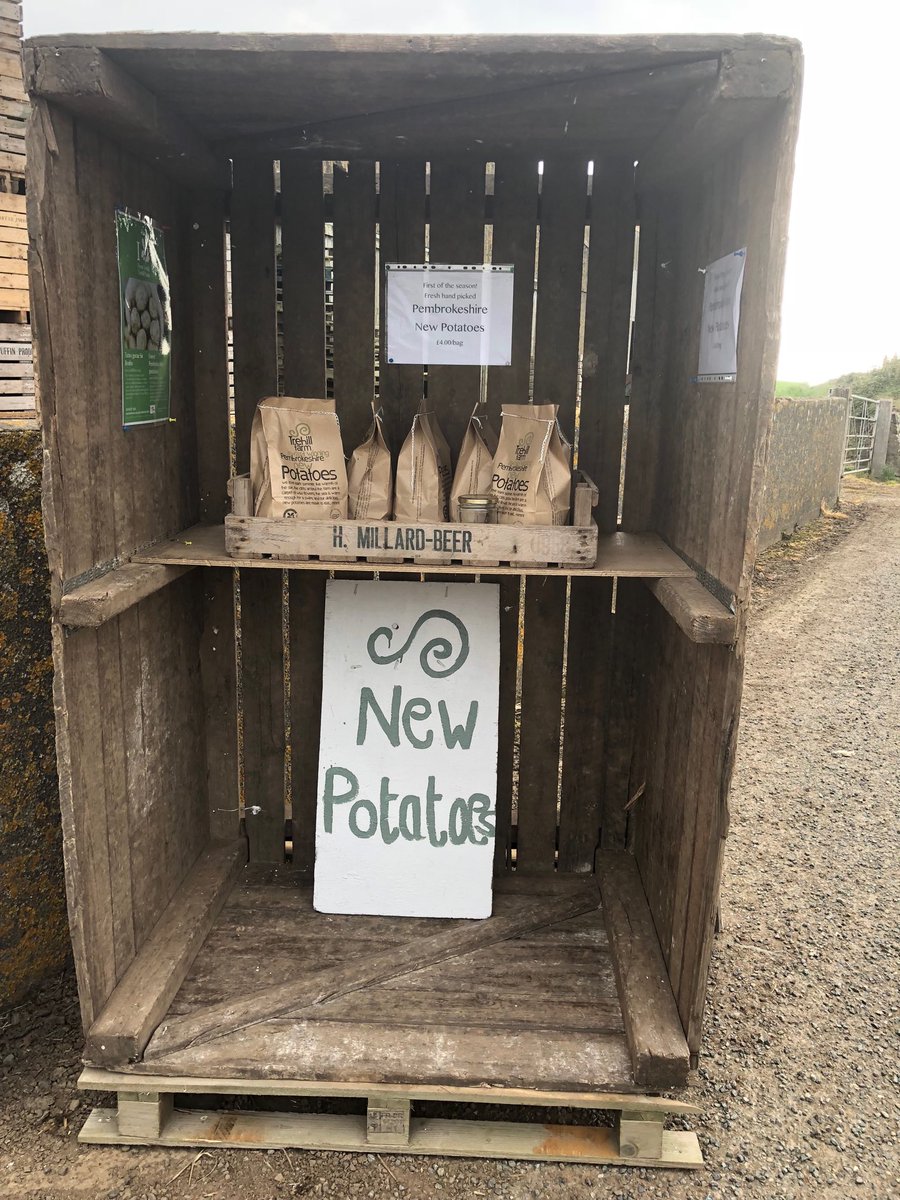 First of the season hand picked and delicious ⁦@NTWales⁩
