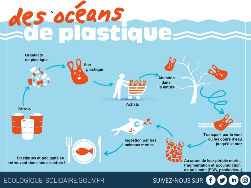FFVoile tweet media