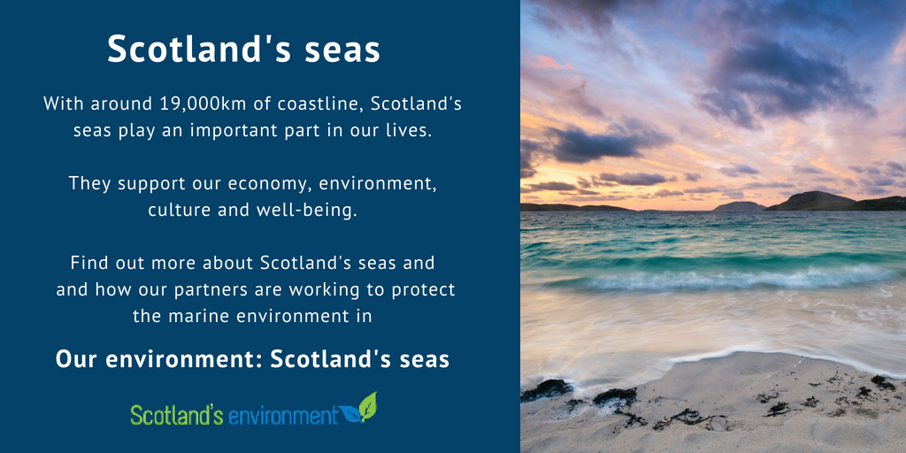 ScotEnvironment's tweet photo. Happy #WorldOceansDay Our seas support our economy, environment, culture and well-being, which is why the problem of plastic waste in our oceans has such an impact. Learn more in our Scotland's seas topic. #Scotlandseas #ScotEnvironment #BeatPlasticPollution https://t.co/YUJ9v1JBzK