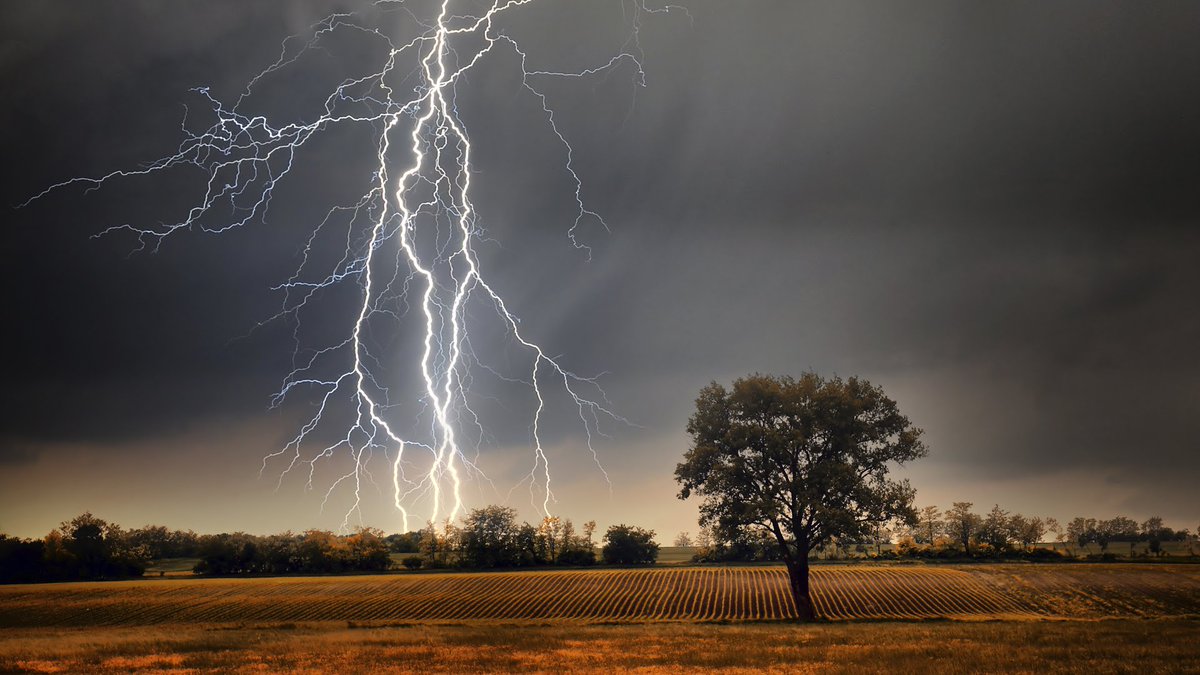 tomi56's tweet photo. Vivir, que delicia es vivir y vivir bien, mejor aún; sin embargo, a veces somos sorprendidos por grandes tormentas, éstas nos desafían a luchar para no quedar atrapados en ellas. Sigue adelante, en Dios puedes vencer cada día. Un excelente fin de semana para todos. https://t.co/Gq6SlzHmq7