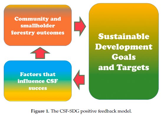 pia_katila's tweet photo. @LukeFinland #community and #smallholder forestry are important for achieving the #SDGs shows a new a new paper available at https://t.co/0rosVzfjBt and based on the work by #IUFRO #WFSE https://t.co/oIPVEsqTyN
