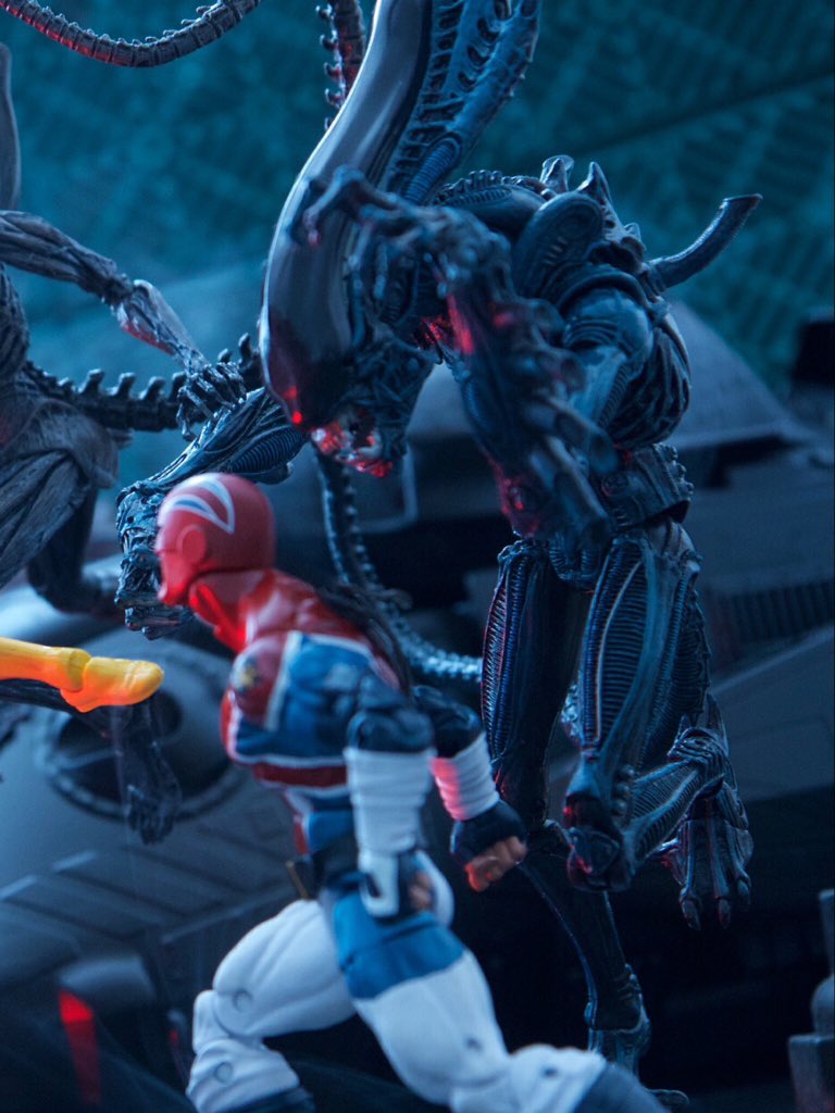 Dryl's tweet photo. 🔥Shuttlebay Ambush🔥

#aliens #xenomorph #spiderwoman #neca #facehuggerfriday #alien #fantomex #CaptainBritain #Avengers #marvellegends #gorillaalien 

@NECA_TOYS https://t.co/OEXiHcFJ0y