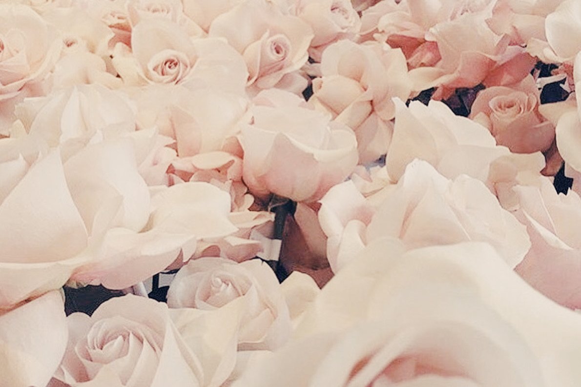 aesthetictink's tweet photo. ( ❥ 🌙) Mina Aesthetics
req by : @Heyitseizelle
✣ rt or like if you use or saving ↷
#Minapacks #Twicepacks https://t.co/CPfaQ0LMcx