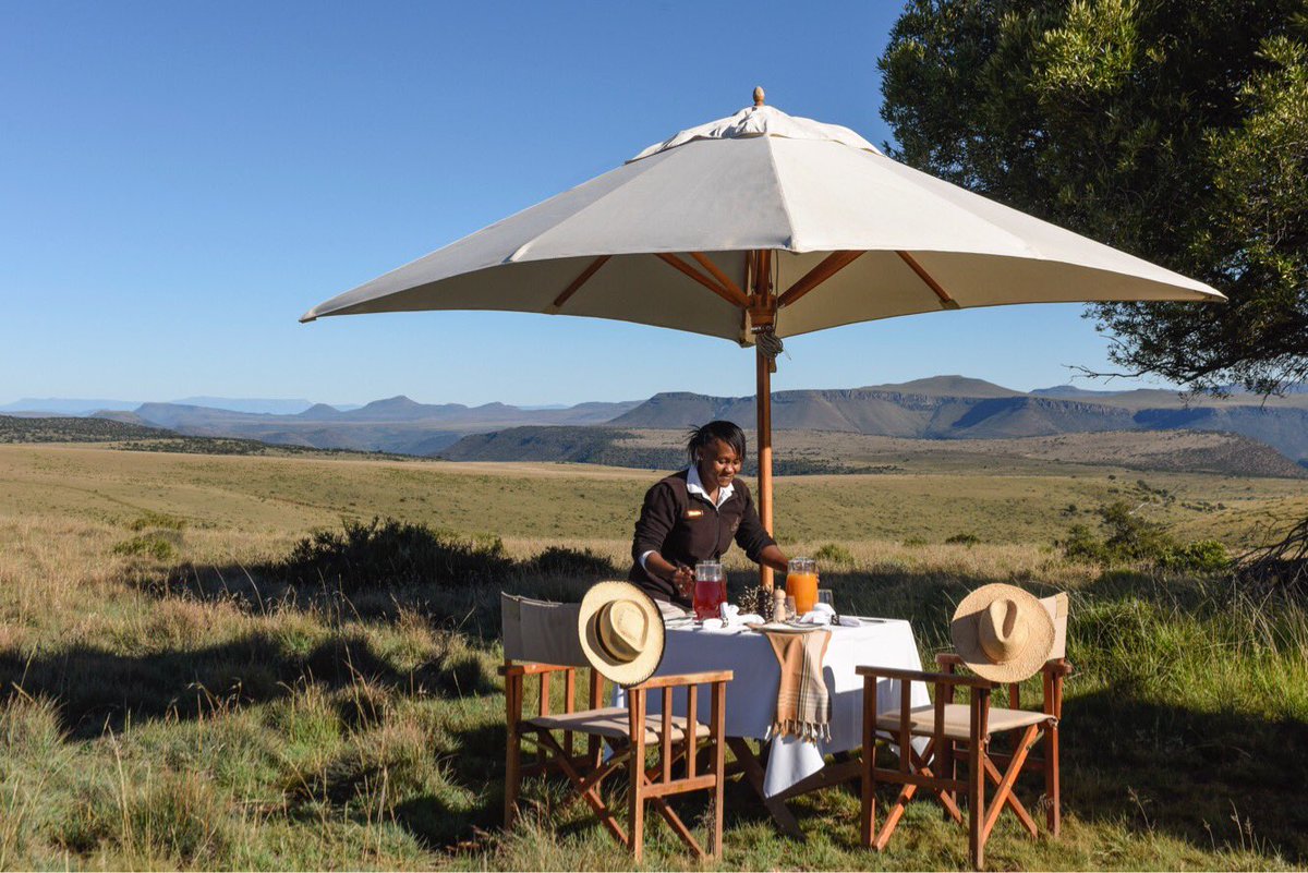 Breakfast alfresco anyone? #FridayFeeling #breakfast #safariwithus