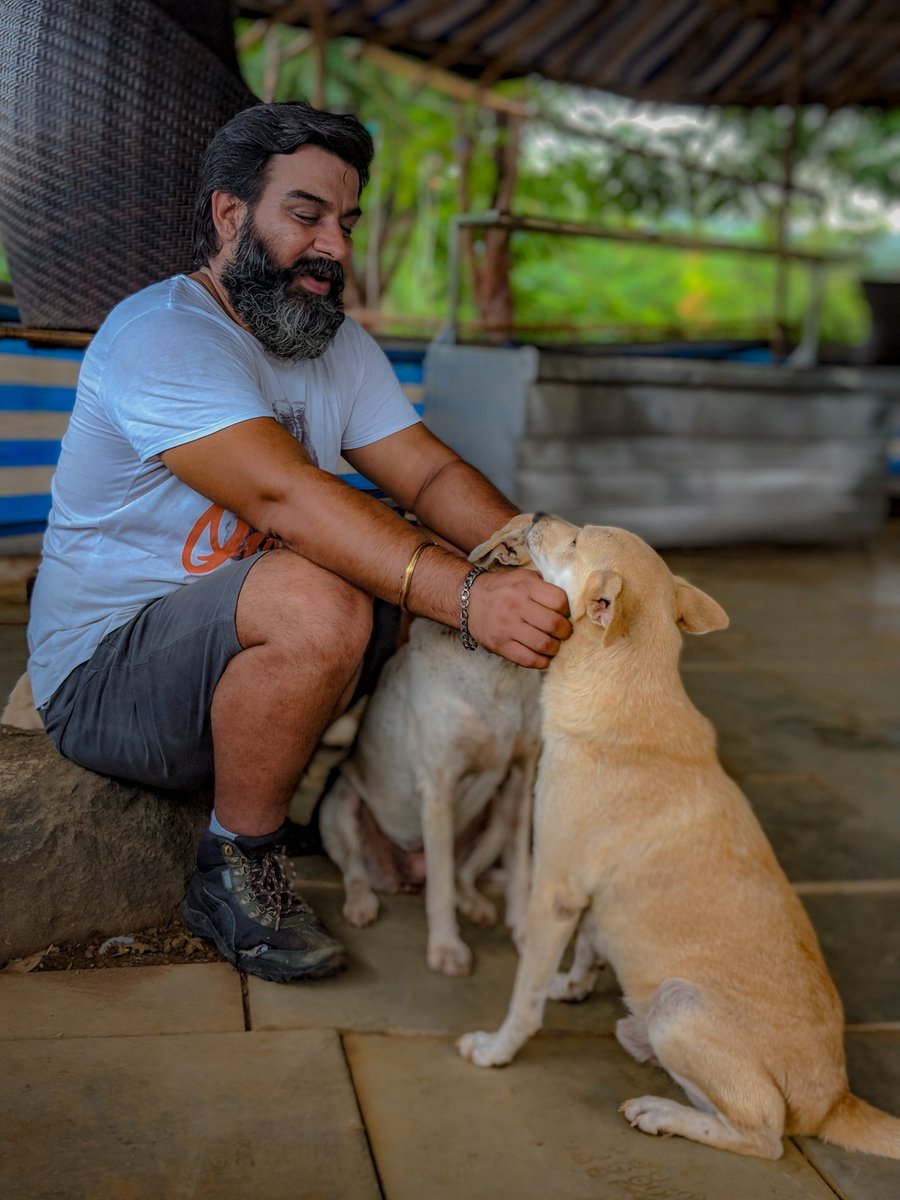 PhoebesFarm's tweet photo. preparing, planning & plotting for what special we should do on 1st housefull monsoon weekend at Phoebe's Farm 😝😝😝😝
#me #cookie #cherry #preparing #planning #plotting #shoulddo #housefull #monsoonweekend #monsoon #weekend #weekendwithpets #weekendwithnature #farmlife #nature https://t.co/YJZI5dYAeI