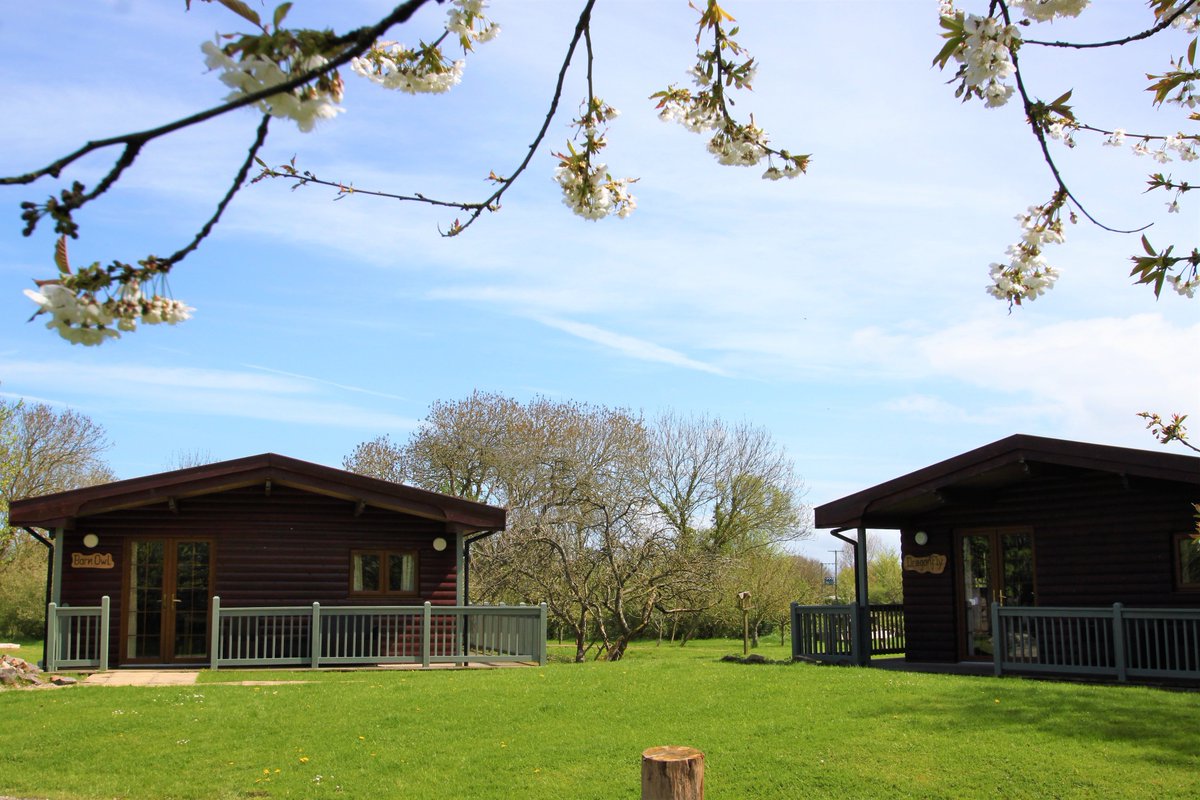 WallEden's tweet photo. Have you seen the fantastic competition going on over on our Facebook page? You can win a two night glamping escape with us by simply liking our page! Just find us on Facebook by searching Wall Eden Farm and find our 'Glamping World Cup' post for all the details! Good luck! https://t.co/ze3ZKWIFy4
