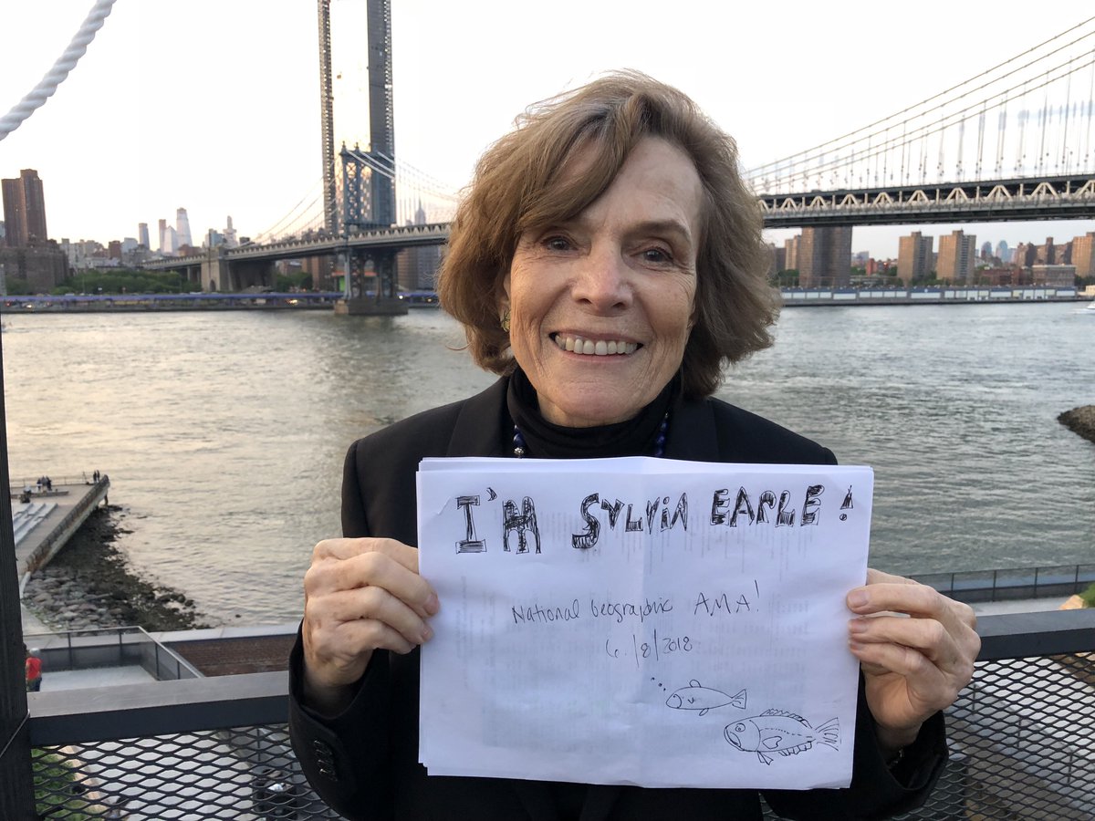 NatGeo's tweet photo. At 9am ET join @SylviaEarle for a @reddit AMA! @MissionBlue #WorldOceansDay https://t.co/Be6s585knl
