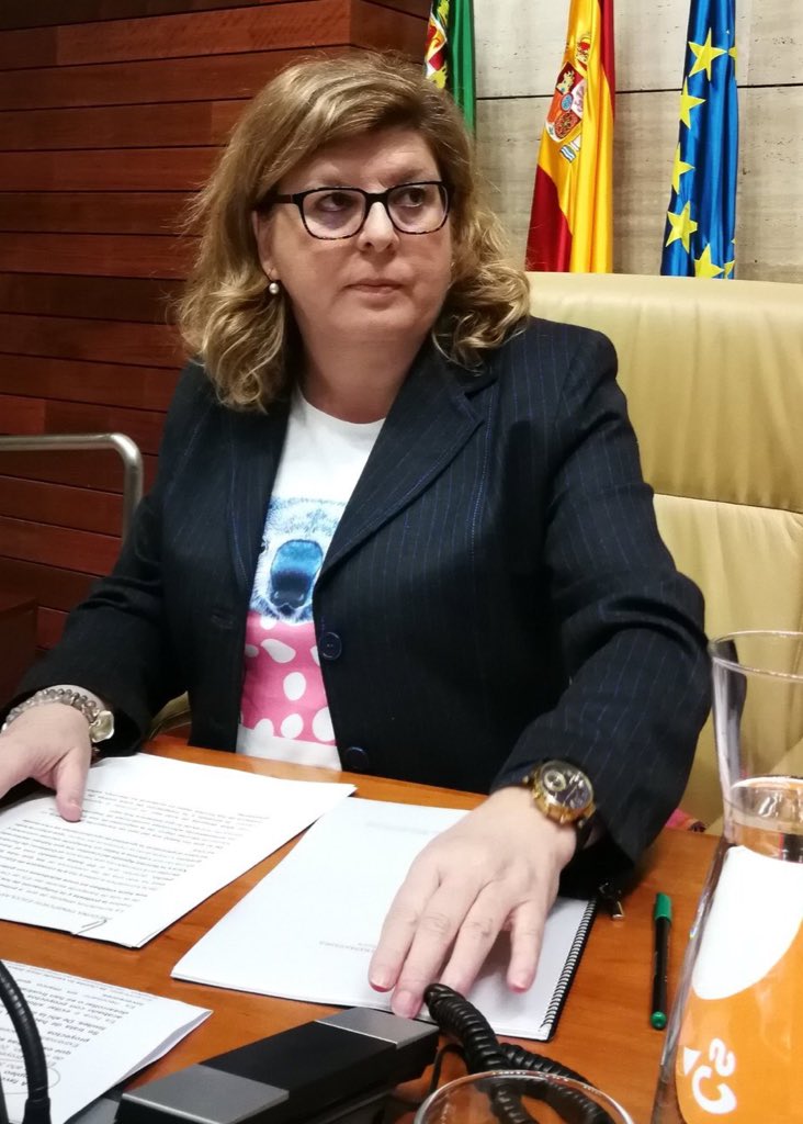 Sixto García Barbero on Twitter: "La portavoz de @CiudadanosCs en la