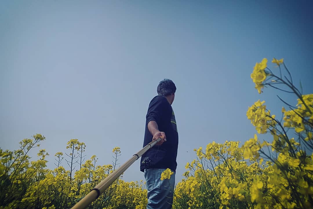 OfficialMHRabbi's tweet photo. Baneswar, Rajshahi, Bangladesh
#yellow #crop
#winter #morning #bd
#village #hometown https://t.co/DSIUUxxrXb