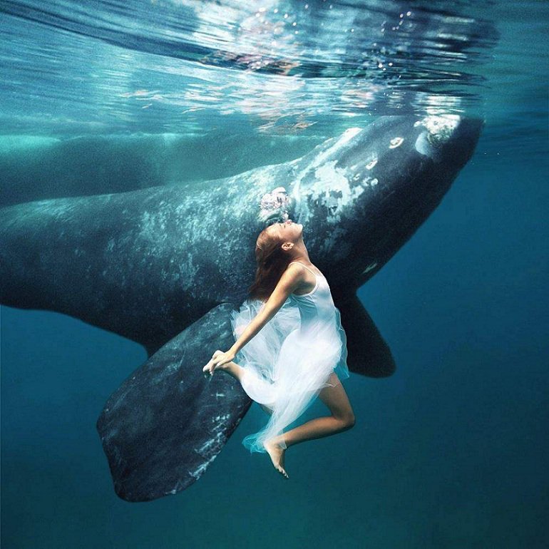 WhaleFUND_io's tweet photo. #WhaleFUND blog on #Golos.io: https://t.co/CG3nmVas1k

#blockchain #eth #ethereum #tokens #whale #crypto #cryptofund https://t.co/kAtPONbRfR