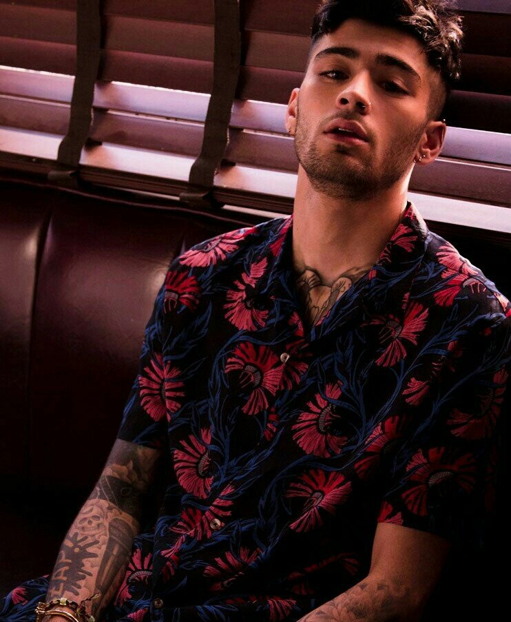 phosigal's tweet photo. zayn 📌 https://t.co/8LgxUf431L