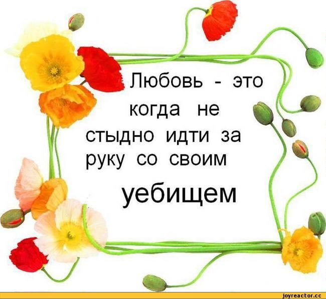 Прикольные любовные картинки с надписями ржачные, днем