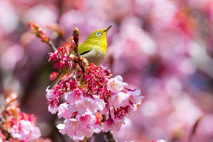 Jeanette tweet media