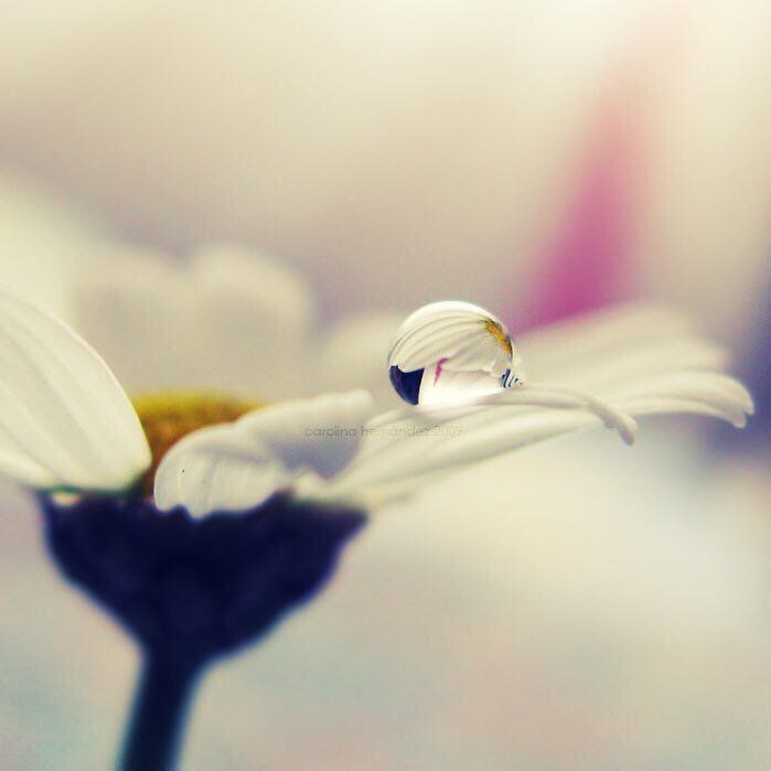 saderal_khalaiq's tweet photo. ❤💛💜
علمتني الحياة 
أن أتمنى الخير للجميع دون استثناء ؛ 
فسعادة الآخرين لن تؤخذ من سعادتي ؛ 
وغناهم لن ينقص من رزقي ؛ 
وصحتهم لن تسلبني عافيتي ؛ 
فأسأل الله العلي القدير أن يجعلني وإياكم من السعداء في الدنيا والاخرة https://t.co/0AVNURk5W9